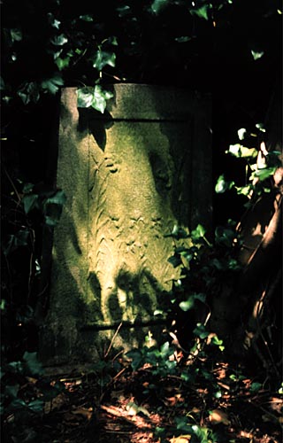 leslie stephens